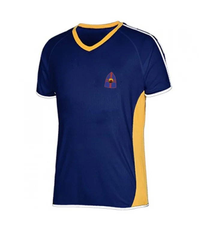 Royal blue football team uniform t-shirt Royal blue football team uniform t-shirt